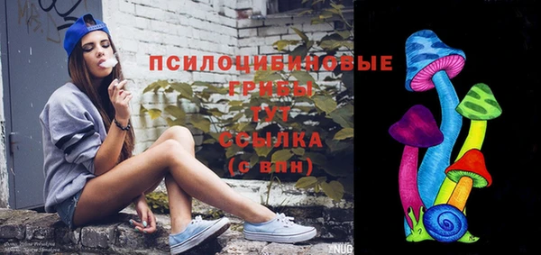 стаф Волоколамск