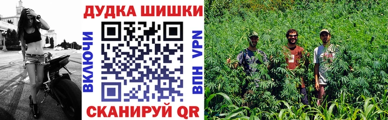 купить наркотики сайты  Новоульяновск  Каннабис SATIVA & INDICA 